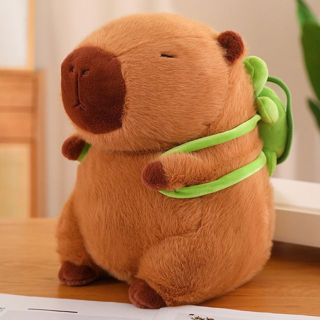 Toy