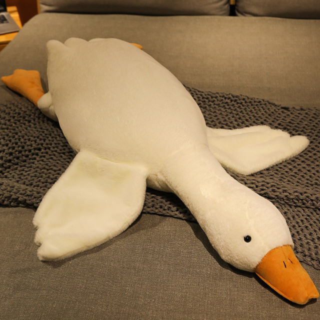 Toy