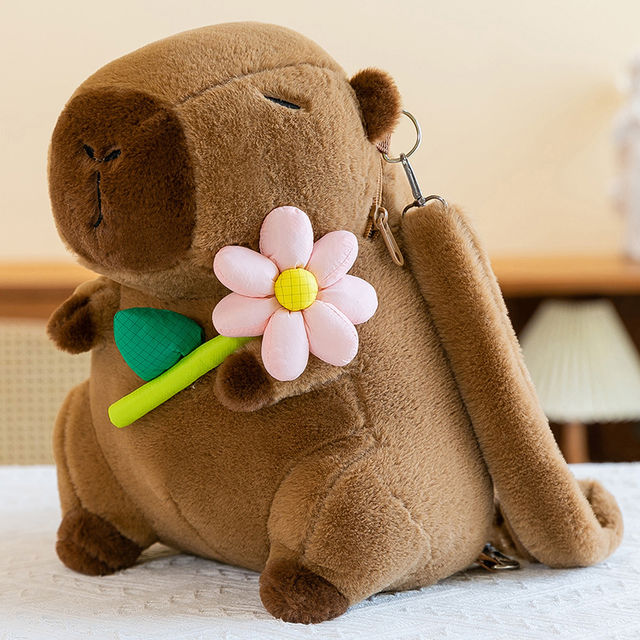 Toy