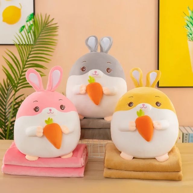 Toy