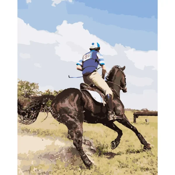 Pictura pe numere "Concursuri ecvestre" 40x50 cm (fara cutie)(GS288)(34838)