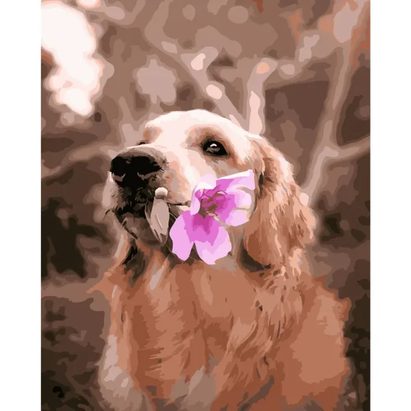 Pictura pe numere "Golden Retriever cu floare" 40x50 cm (fara cutie)(GS309)(35040)