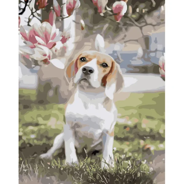 Pictura pe numere "Beagle sub magnolia" 40x50 cm (fara cutie)(GS944)(49337)