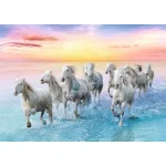 Puzzle 500  "Caii albi " - imagine 2