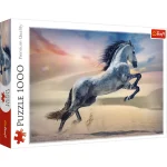 Puzzle 1000 elemente "Calul magic"