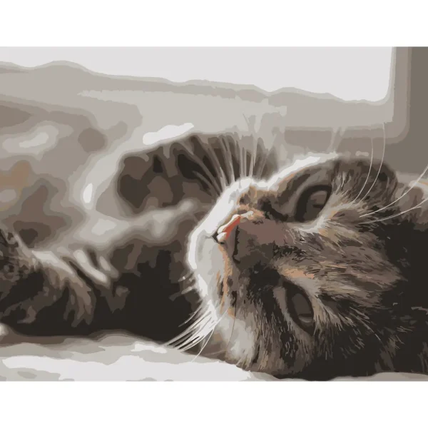 Pictura pe numere "Pisica" (fara cutie) 40x50 cm (DY109)(36214)