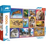 Puzzle 1000 elemente "Natura salbatica"