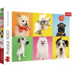 (37378) Puzzle 500 elemente "Cainisorii"