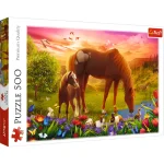 Puzzle 500  "Cai"
