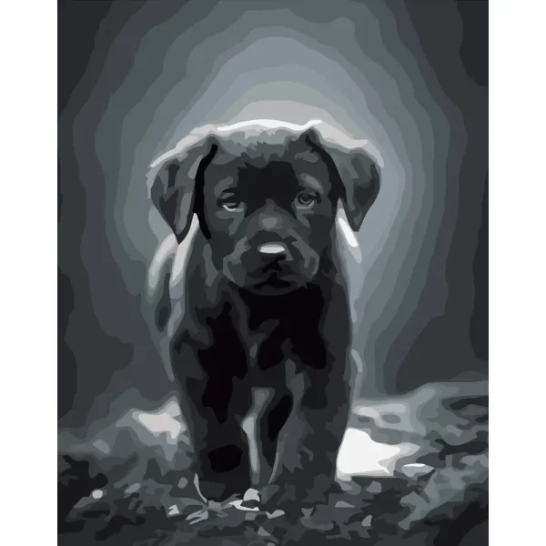 Pictura pe numere "Labrador" 40x50 cm (fara cutie) DY277)(41980)