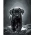 Pictura pe numere "Labrador", 40x50 cm (DY277)