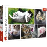 (26145) Puzzle 1500 elemente"Motanasii"
