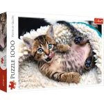 Puzzle 1000 "Pisoi vesel"