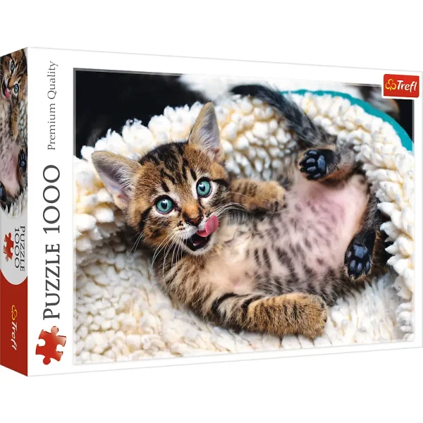 Puzzle 1000 "Pisoi vesel"