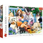 Puzzle 1000 elemente"Cainisorii in gradina"