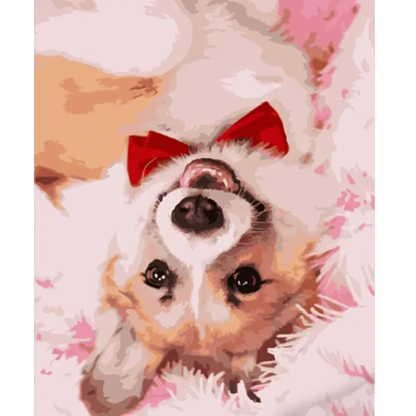 Pictura pe numere "Corgi cu cravata" 40x50 cm (fara cutie)(HH012)(840082)