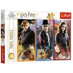 Puzzle 200 elemente "In lumea magiei,Harry Potter"