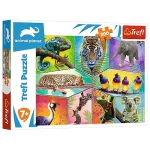 Puzzle 200 elem."Lumea exotica"