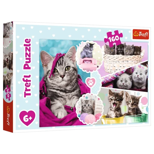 (15371) Puzzle 160"Pisoiii"