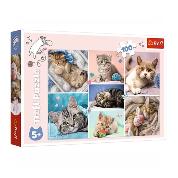 Puzzle 100 elemente "In lumea pisicilor"