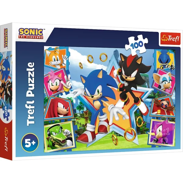 Puzzle 100 elemente "Sonic"