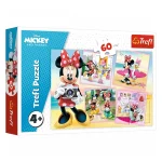 (17360) Puzzle 60 "Minnie"