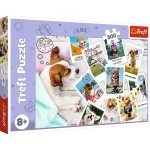 Puzzle 300 elemente "Pozele catelusilor"