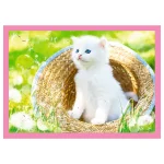 Puzzle 4in1 "Pisicile" - imagine 5