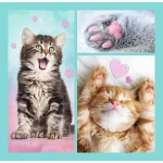 (34862) Puzzle 3in1 "Animale dulci" - imagine 4