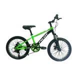 Bicicleta PILOT pentru copii 20' cu 6 viteze,schimbator de viteze Shimano (GI-9 / 1 verde)