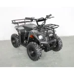 Cvadriciclu din metal pentru copii RTM56