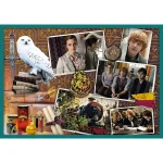 Puzzle 10in1 "Lumea lui Harry Potter" - imagine 2