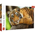 (37397) Puzzle 500  "Tigru"