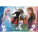 Puzzle 300 elemente "Frozen 2" - imagine 2