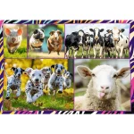 Puzzle 4 x 250 "Animale dragute" - imagine 5