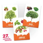27 de cartonase. Arbori si arbusti,frunze si fructe - imagine 2