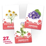 27 de cartonase. Flori - imagine 3