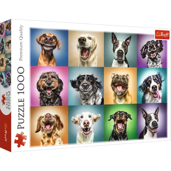Puzzle 1000 "Ciinisorii"