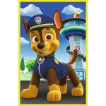 Puzzle 3x50 "Patrula catelusilor" - imagine 2