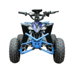 Cvadriciclu din metal pentru copii RTM53 / 2 albastru - imagine 2