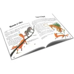 (11083) Iepurele si broasca-testoasa. 12 povesti cu talc - imagine 2