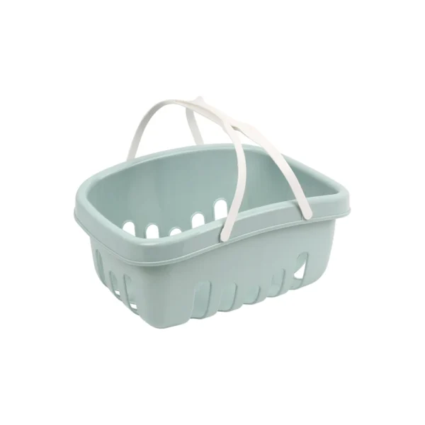 Coș de cumpărături (1621)