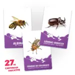 27 de cartonașe. Ființe mici - imagine 2