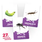 27 de cartonașe. Ființe mici - imagine 3