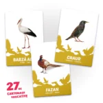 (00972) 27 de cartonase. Pasari - imagine 2