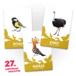 (00972) 27 de cartonase. Pasari - imagine 3