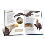 Enciclopedie. Pasari (401931) - imagine 2