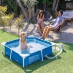 Piscină cu cadru metalic pentru animale de companie Pet Pool 152×152×30 cm, 537 L, filtru 1136 l/h, skimmer și prelată, Intex (48402) - imagine 2