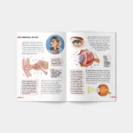 Enciclopedie. Corpul uman (03539) - imagine 2