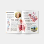 Enciclopedie. Corpul uman (03539) - imagine 3